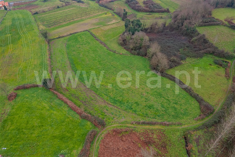 Terreno / Paços de Ferreira, Penamaior
