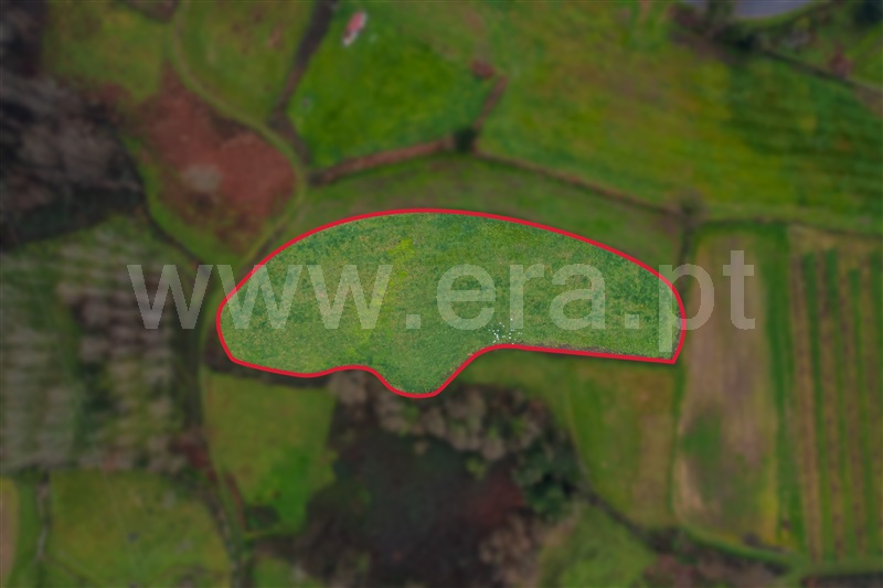 Terreno  Paços de Ferreira, Penamaior - 1369137 - 3