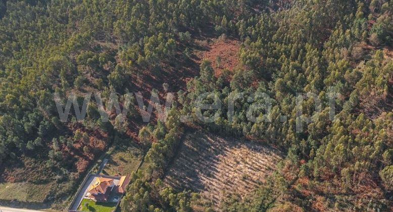 Terreno / Paços de Ferreira, Penamaior