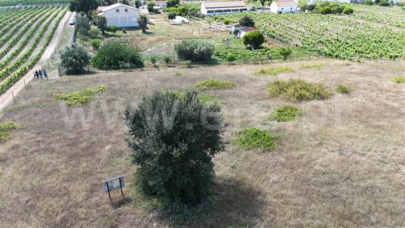 Terreno / Palmela, Cajados
