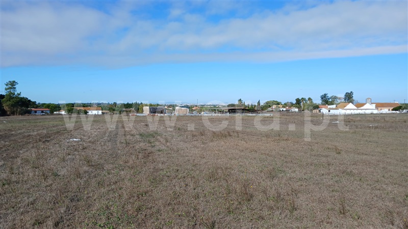Terreno / Palmela, Pinhal Novo