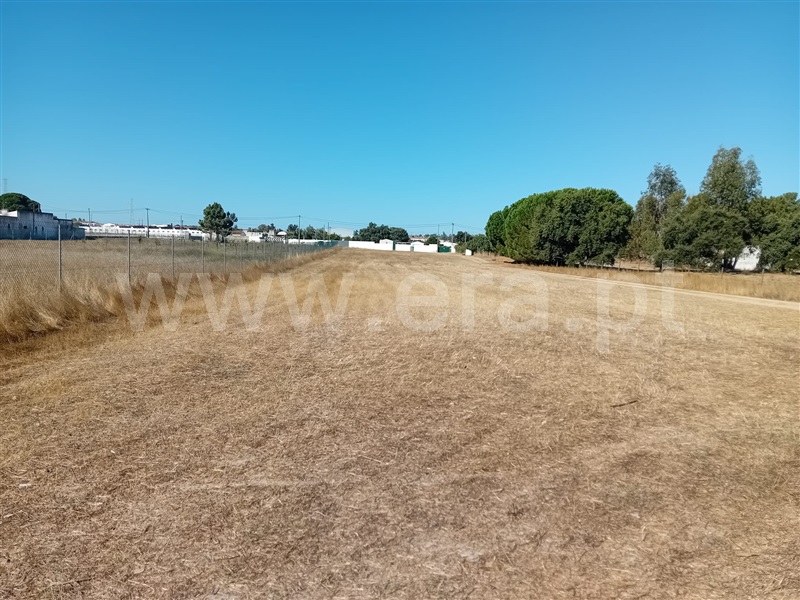Terreno / Palmela, Quinta do Anjo