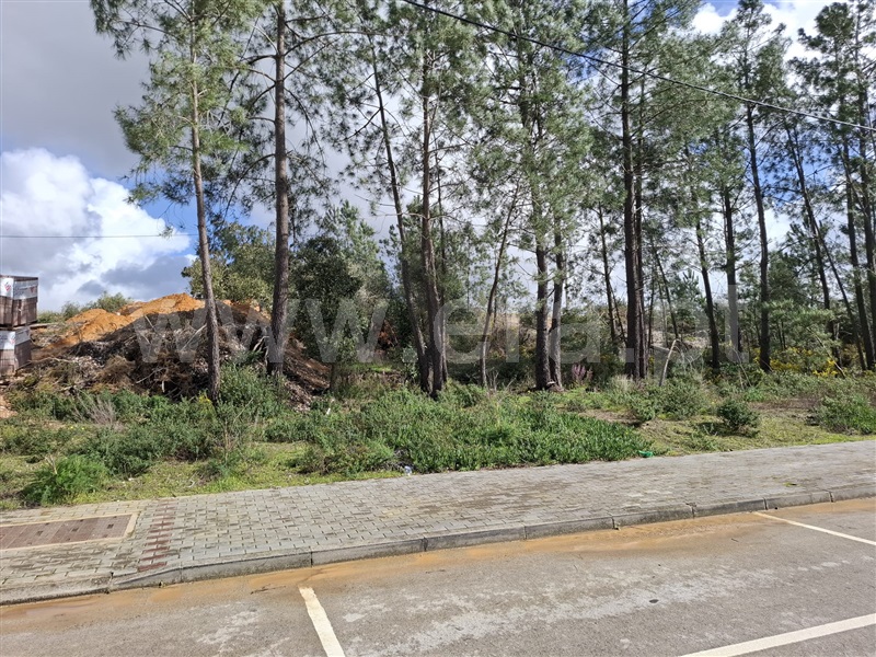 Terreno / Palmela, Quinta do Anjo
