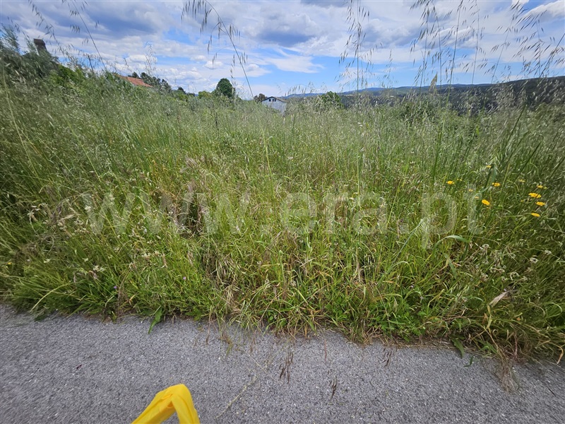 Terreno / Pampilhosa da Serra, Coimbra / Pampilhosa da Serra