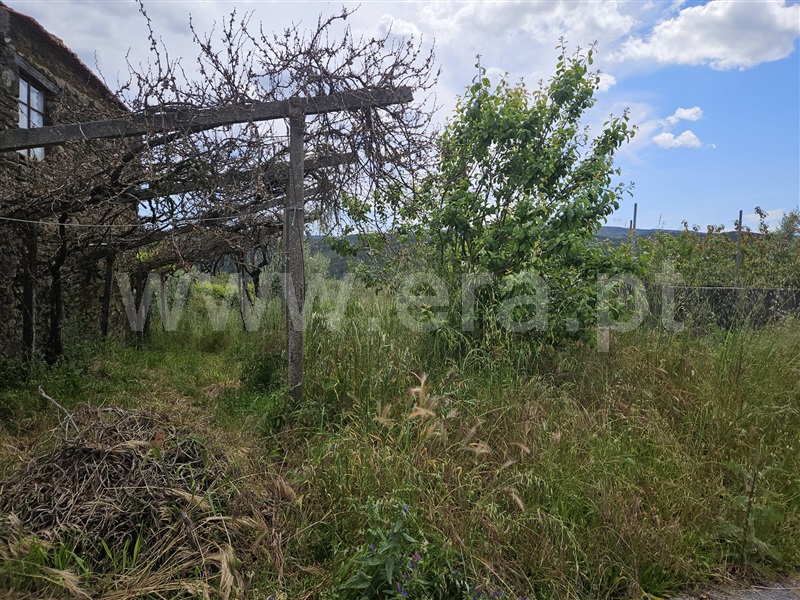Terreno / Pampilhosa da Serra, Coimbra / Pampilhosa da Serra