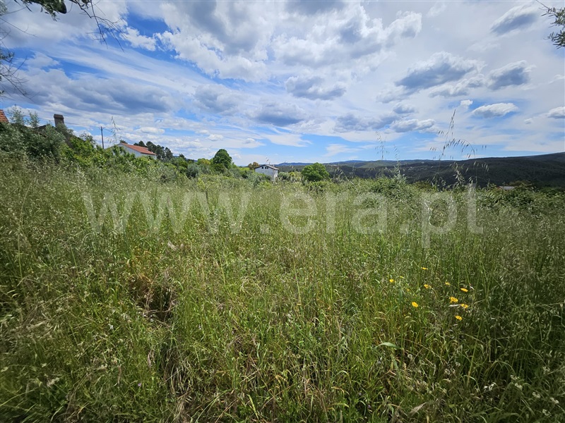 Terreno / Pampilhosa da Serra, Coimbra / Pampilhosa da Serra