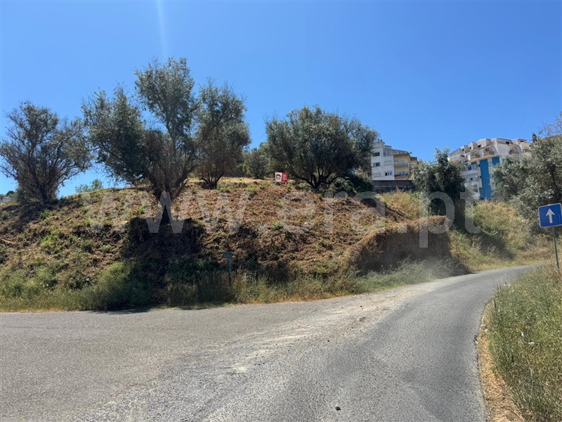Terreno para Construção / Abrantes, Abrantes (São Vicente e São João) e Alferrarede