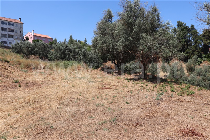 Terreno para Construção  Abrantes, Abrantes (São Vicente e São João) e Alferrarede - 1484631 - 3