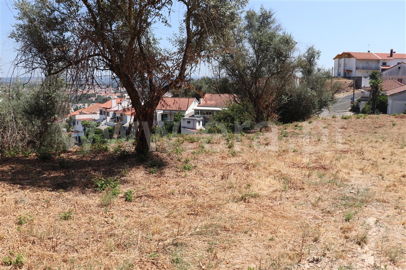 Terreno para Construção  Abrantes, Abrantes (São Vicente e São João) e Alferrarede - 1484631 - 5