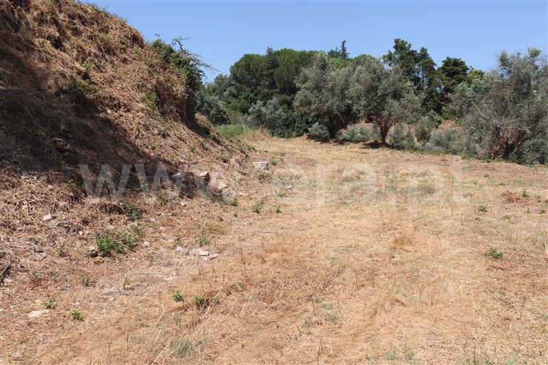 Terreno Urbano  Abrantes, Abrantes (São Vicente e São João) e Alferrarede - 1484633 - 3