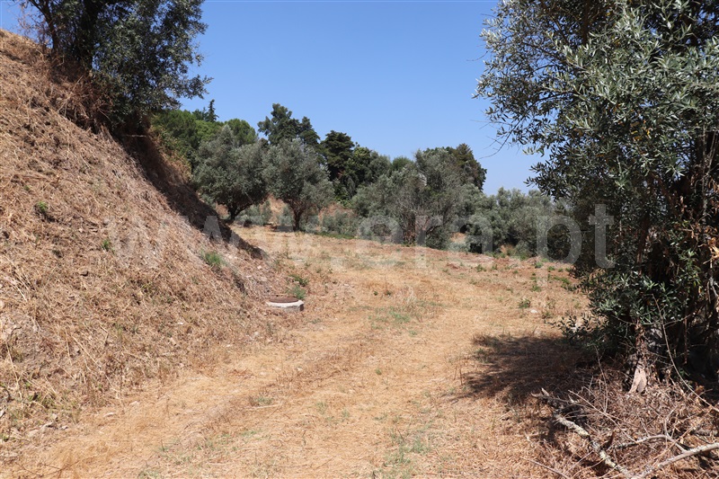 Terreno para Construção  Abrantes, Abrantes - 1484437 - 3