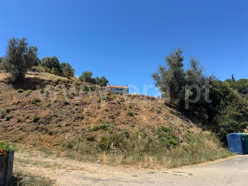 Terreno para Construção / Abrantes, Abrantes