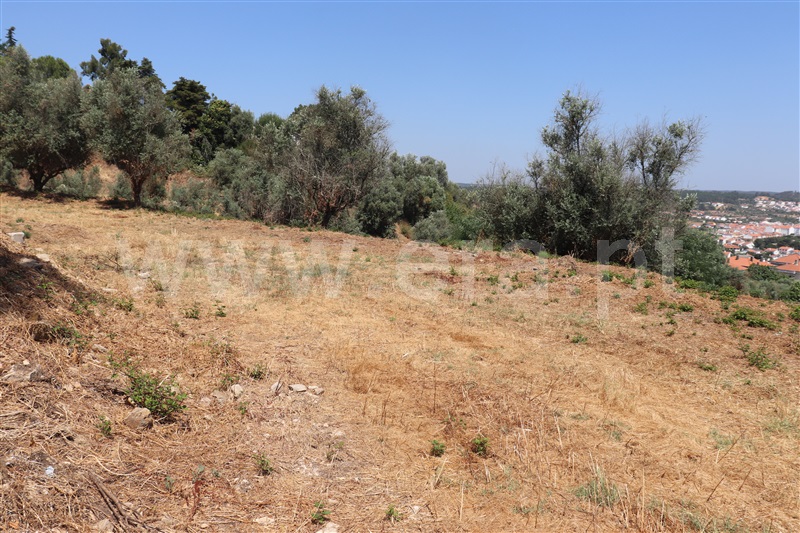 Terreno para Construção  Abrantes, Abrantes - 1492287 - 2