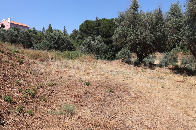 Terreno para Construção  Abrantes, Abrantes - 1492287 - 3