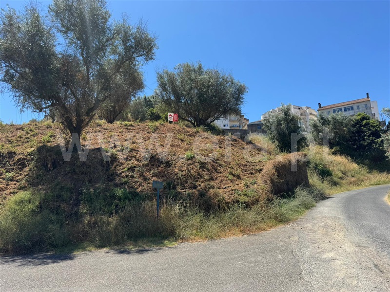 Terreno para Construção / Abrantes, Abrantes