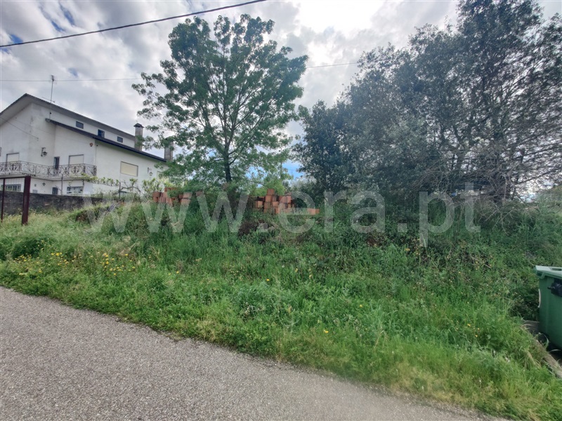 Terreno para Construção / Abrantes, Alvega