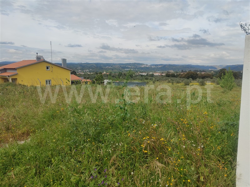 Terreno para Construção / Abrantes, Alvega
