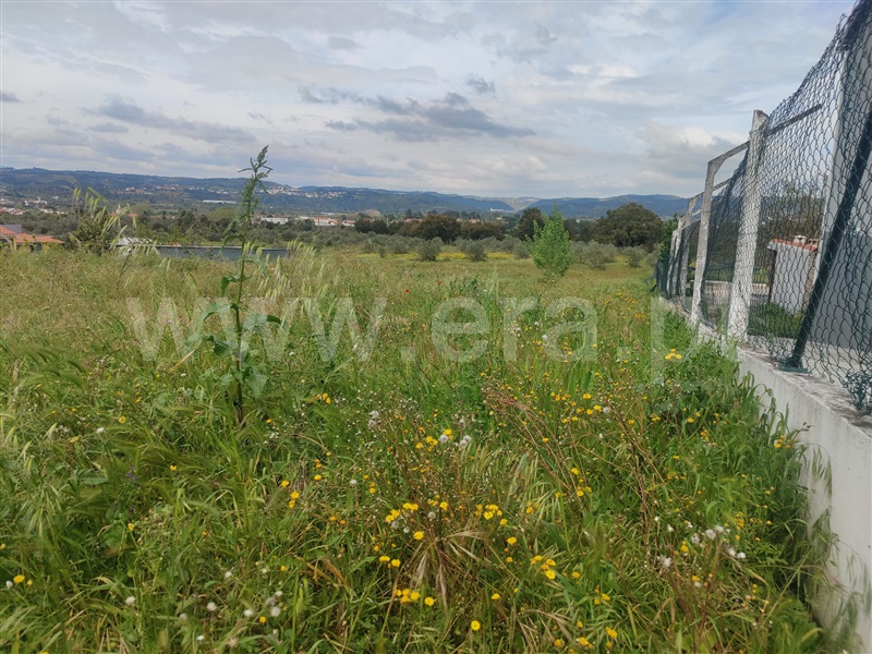 Terreno para Construção  Abrantes, Alvega - 1477521 - 4