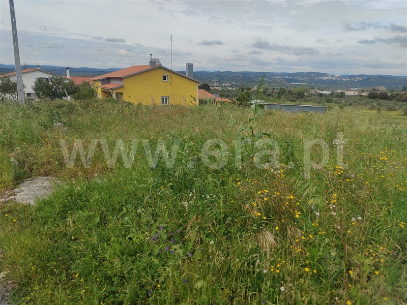 Terreno para Construção  Abrantes, Alvega - 1477521 - 5
