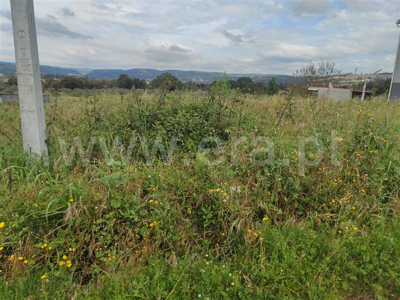 Terreno para Construção  Abrantes, Alvega - 1477521 - 6