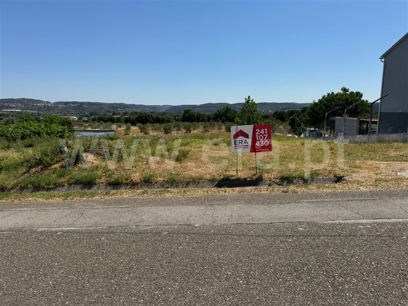 Terreno para Construção / Abrantes, Alvega
