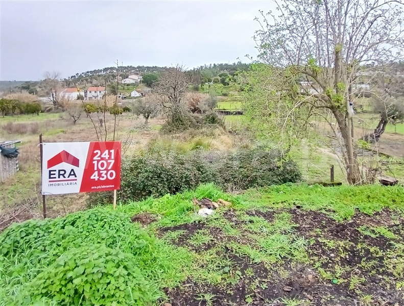 Terreno para Construção / Abrantes, Brunheirinho