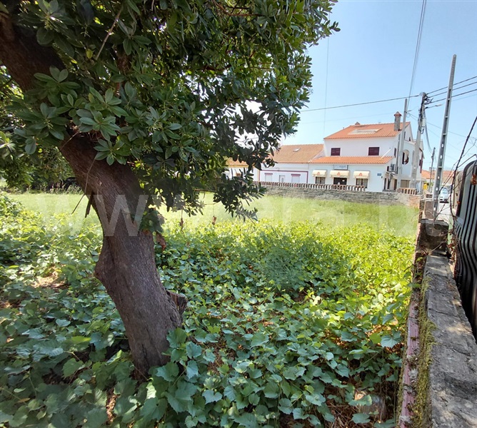 Terreno para Construção  Abrantes, Cabrito - 1490370 - 3