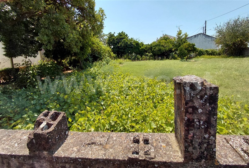 Terreno para Construção  Abrantes, Cabrito - 1490370 - 4