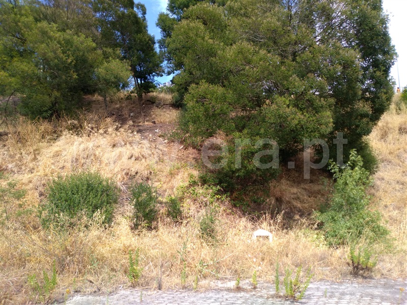 Terreno para Construção  Abrantes, Carocho - 1183561 - 1
