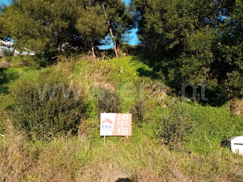 Terreno para Construção / Abrantes, Carocho