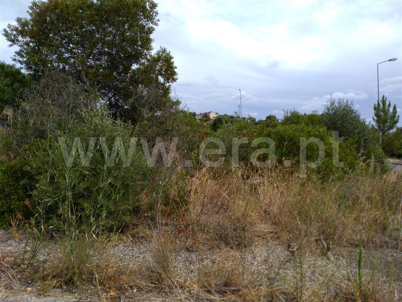 Terreno para Construção  Abrantes, Carocho - 1183566 - 1
