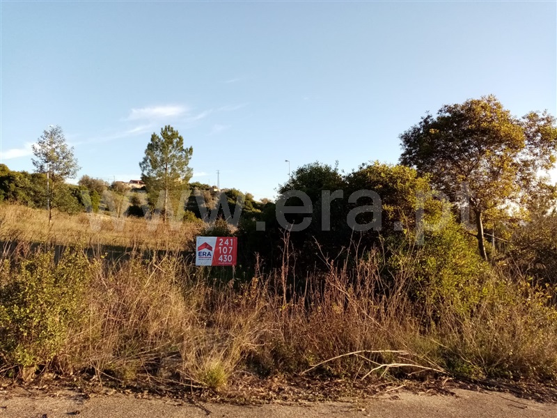 Terreno para Construção / Abrantes, Carocho