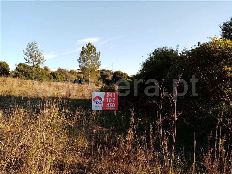 Terreno para Construção  Abrantes, Carocho - 1183566 - 3