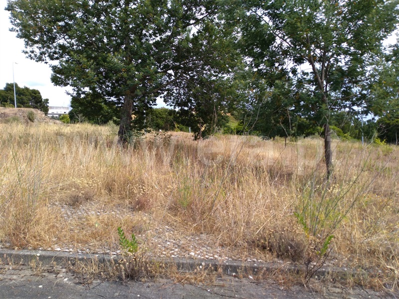 Terreno para Construção  Abrantes, Carocho - 1183574 - 1