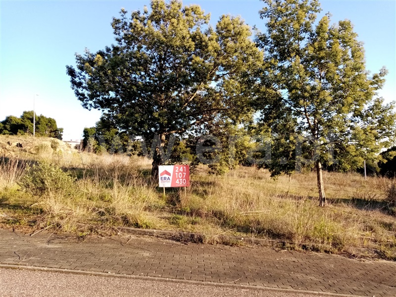 Terreno para Construção / Abrantes, Carocho