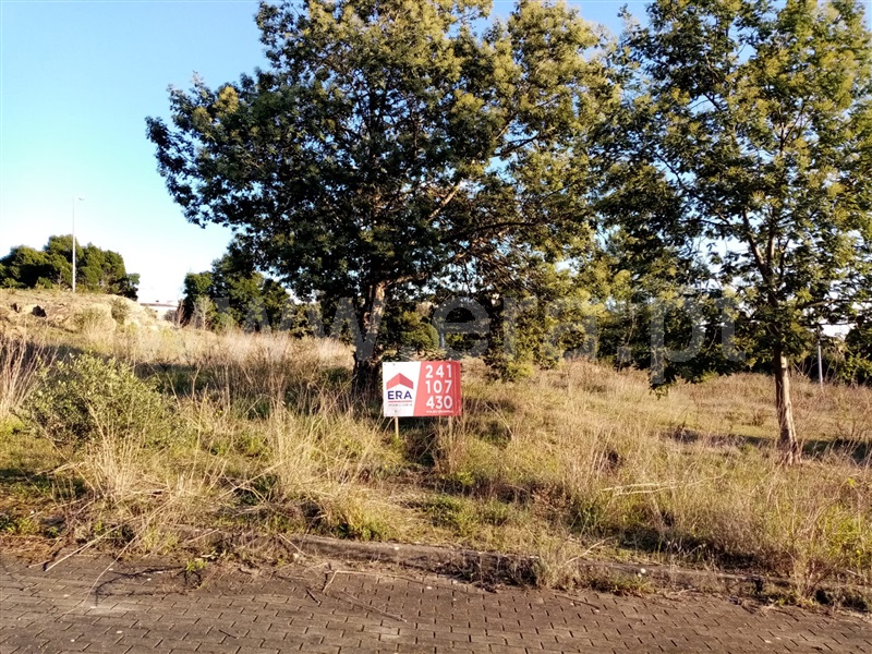 Terreno para Construção  Abrantes, Carocho - 1183574 - 3