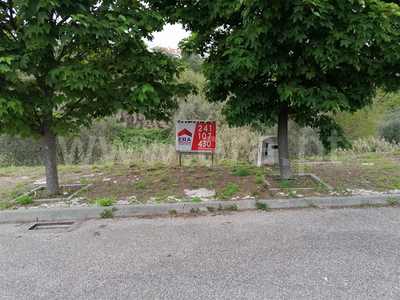 Terreno para Construção / Abrantes, Carocho