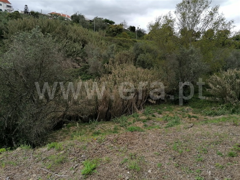 Terreno para Construção  Abrantes, Carocho - 1244838 - 2