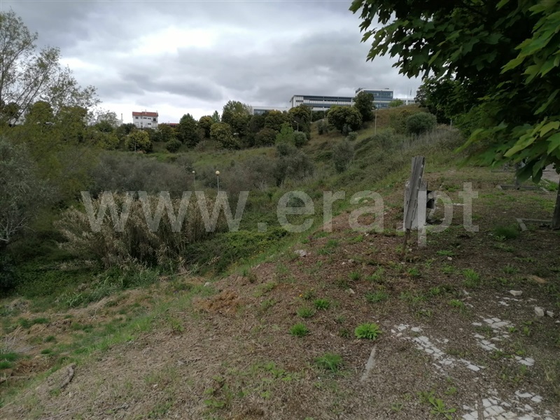 Terreno para Construção  Abrantes, Carocho - 1244838 - 3