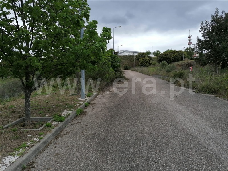 Terreno para Construção  Abrantes, Carocho - 1244838 - 4