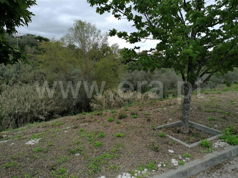 Terreno para Construção  Abrantes, Carocho - 1244838 - 5