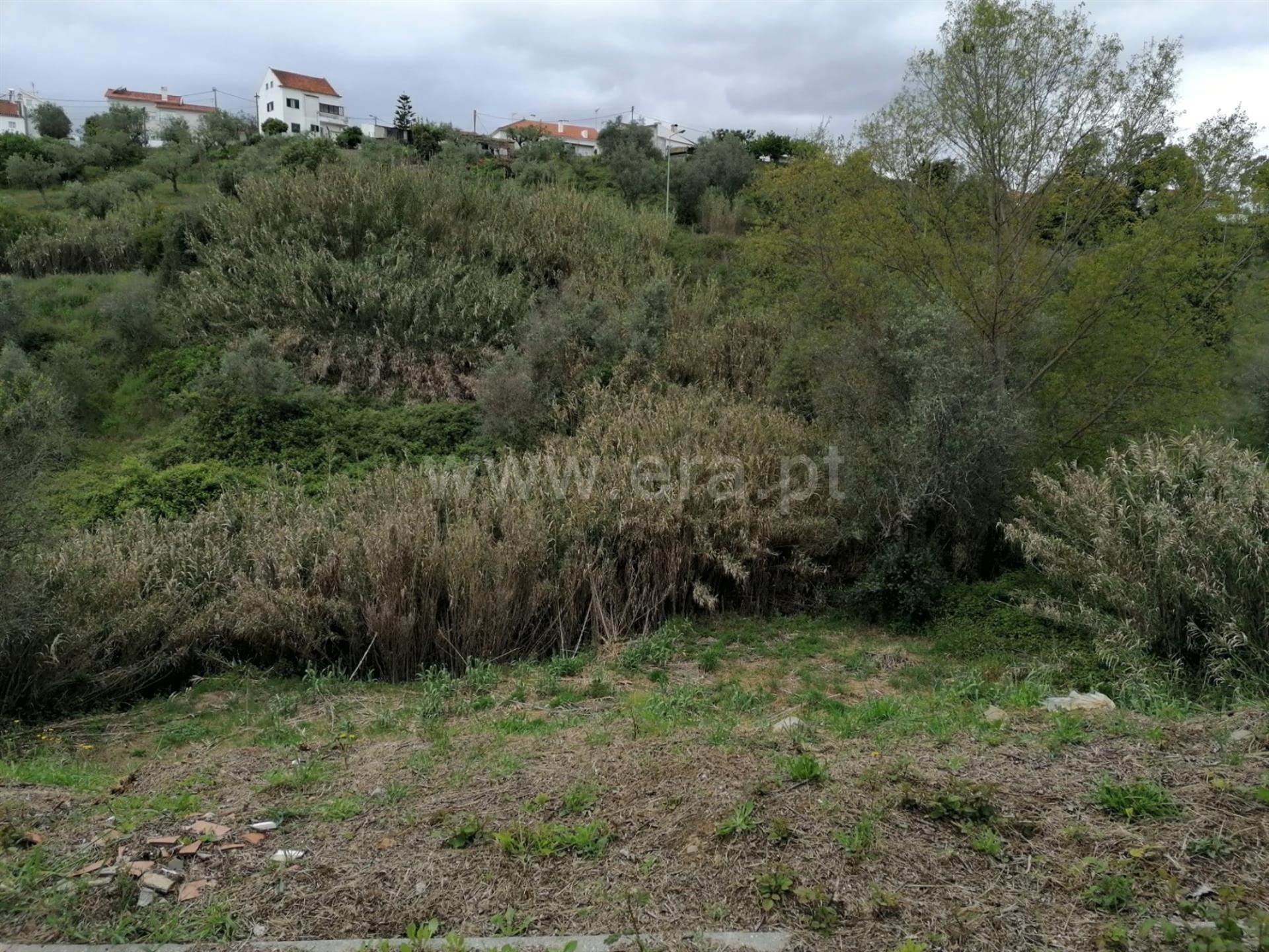Land for sale in Abrantes, Portugal — €82,500