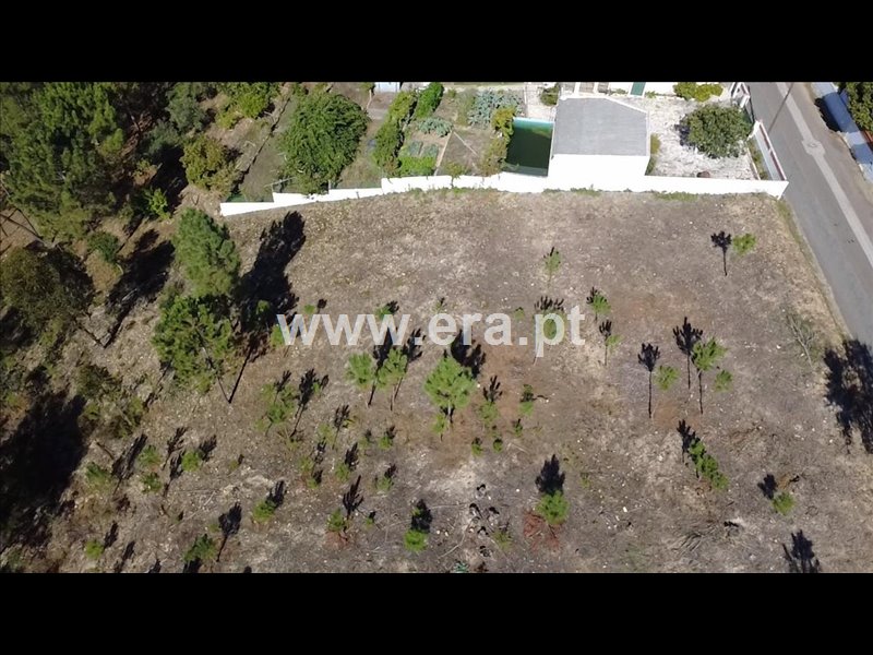 Terreno para Construção / Abrantes, Carreira do Mato