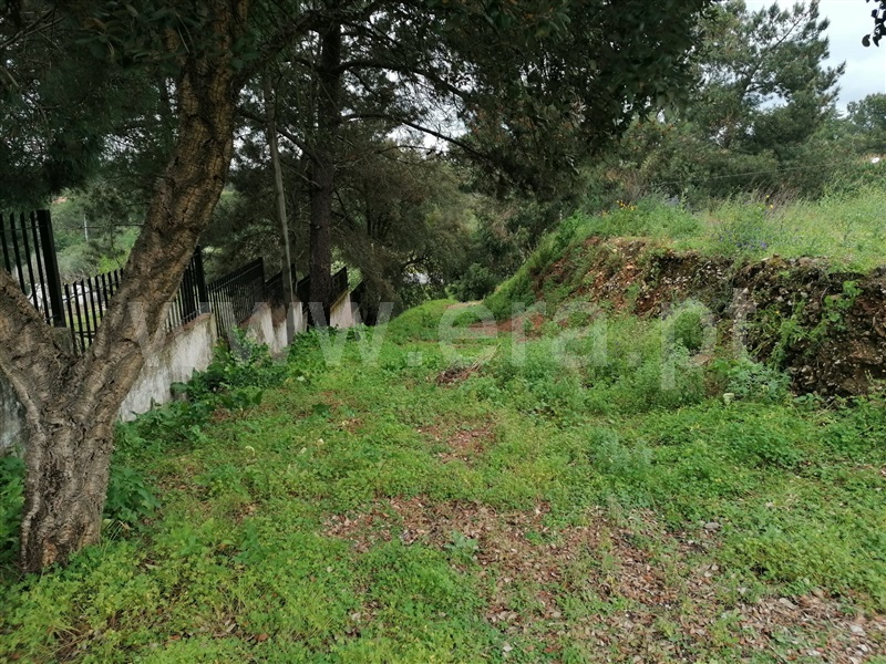 Terreno para Construção  Abrantes, Casal da Preta - 1394425 - 3