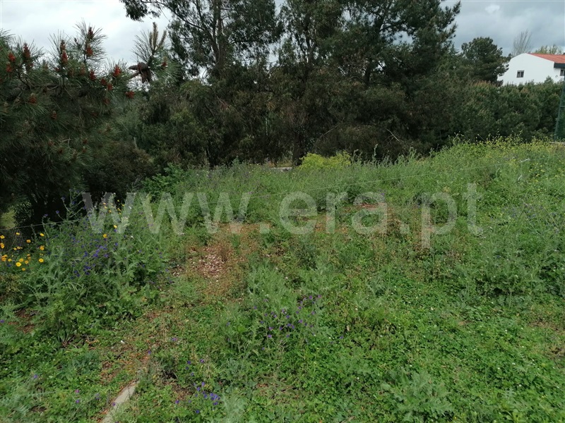Terreno para Construção  Abrantes, Casal da Preta - 1394425 - 6