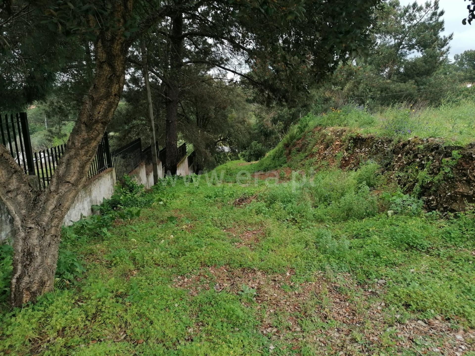 Land for sale in Abrantes, Portugal — €110,000