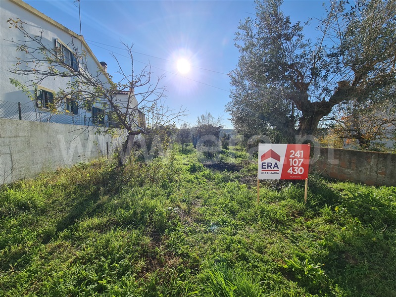 Terreno para Construção / Abrantes, Crucifixo