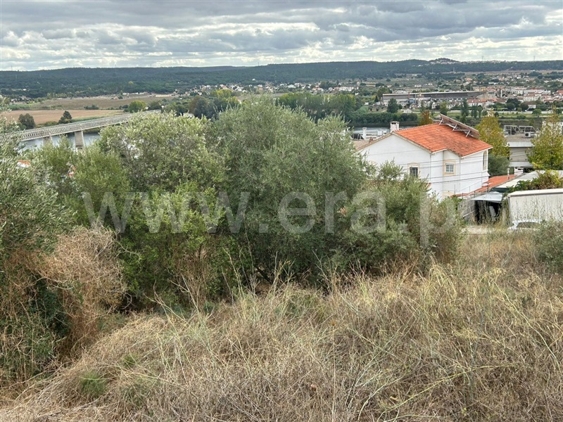 Terreno para Construção  Abrantes, Encosta Sul Abrantes - 1452086 - 4