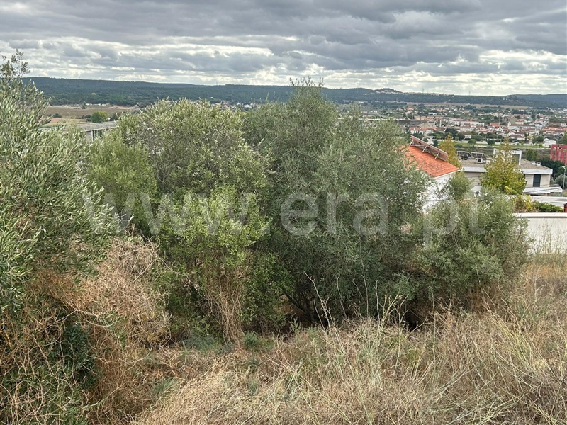 Terreno para Construção  Abrantes, Encosta Sul Abrantes - 1452086 - 5