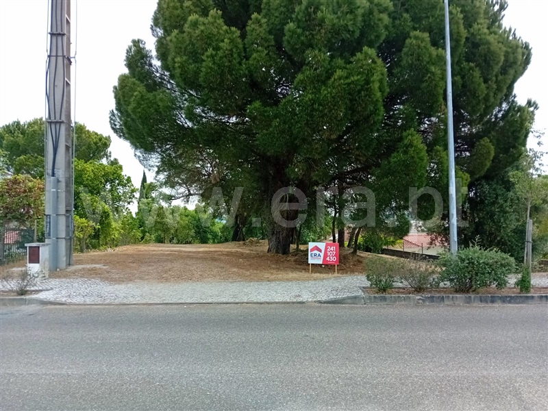 Terreno para Construção / Abrantes, São Lourenço